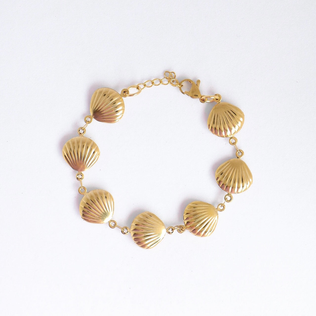 PULSEIRA SHELL