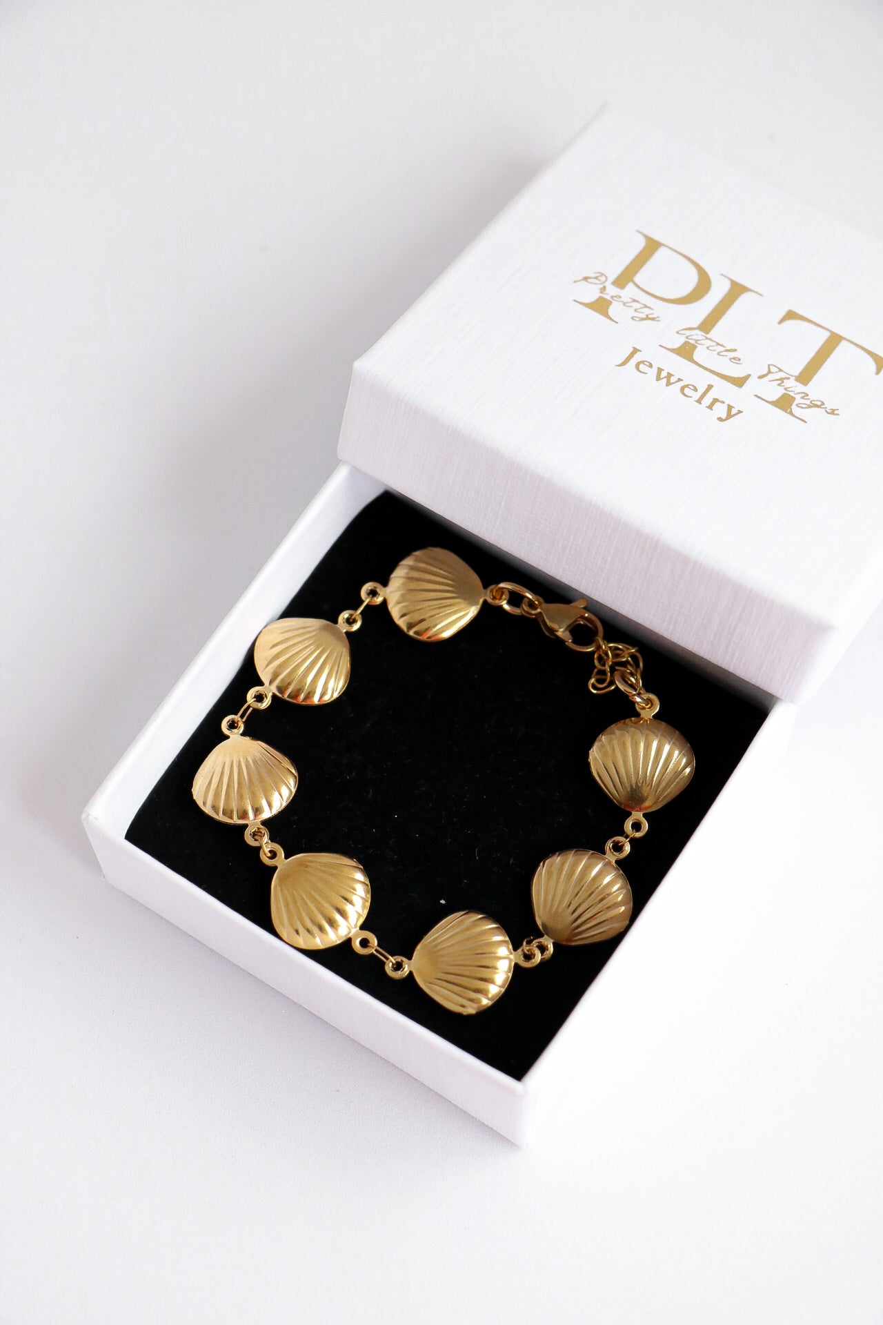 PULSEIRA SHELL