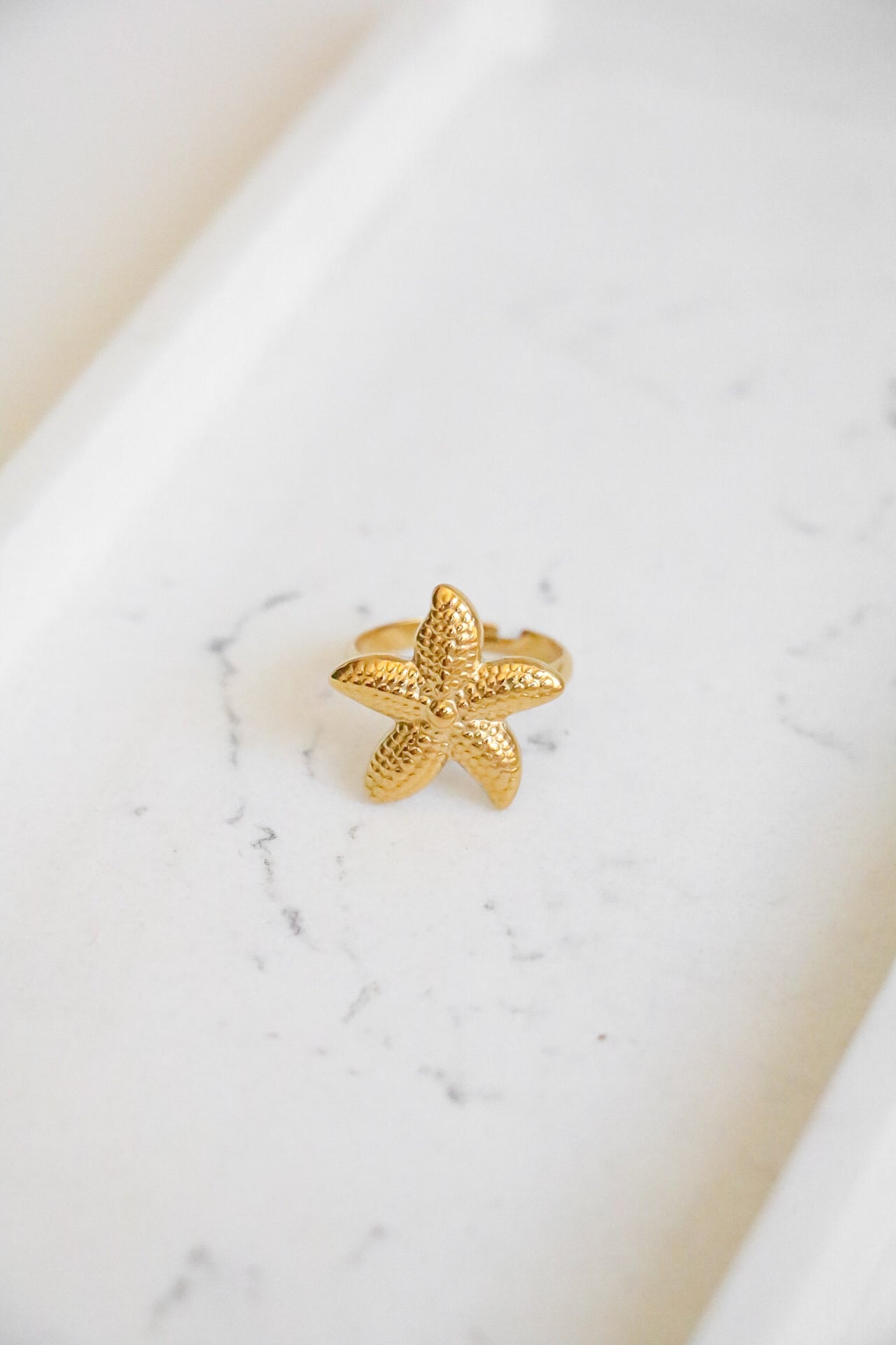 ANEL STARFISH
