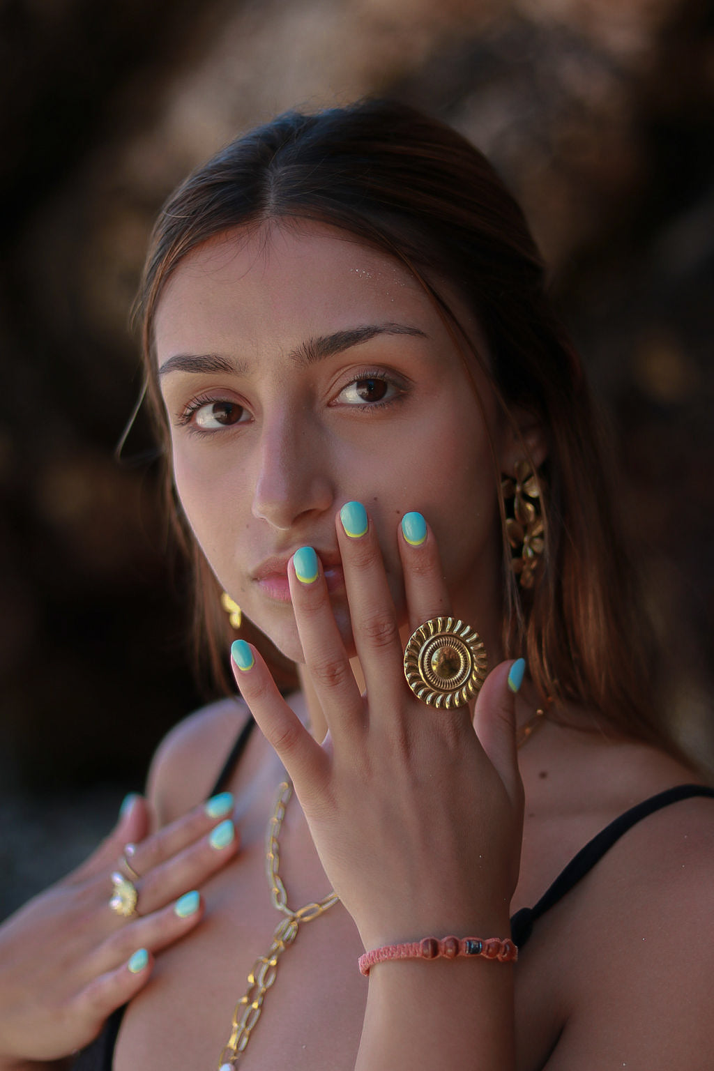 ANEL ARI