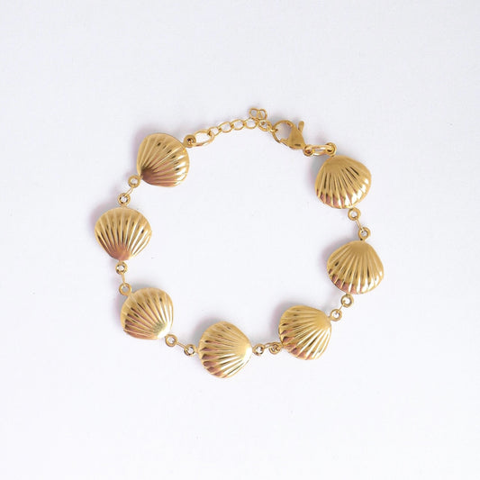 PULSEIRA SHELL