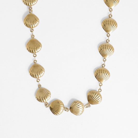COLAR SHELL