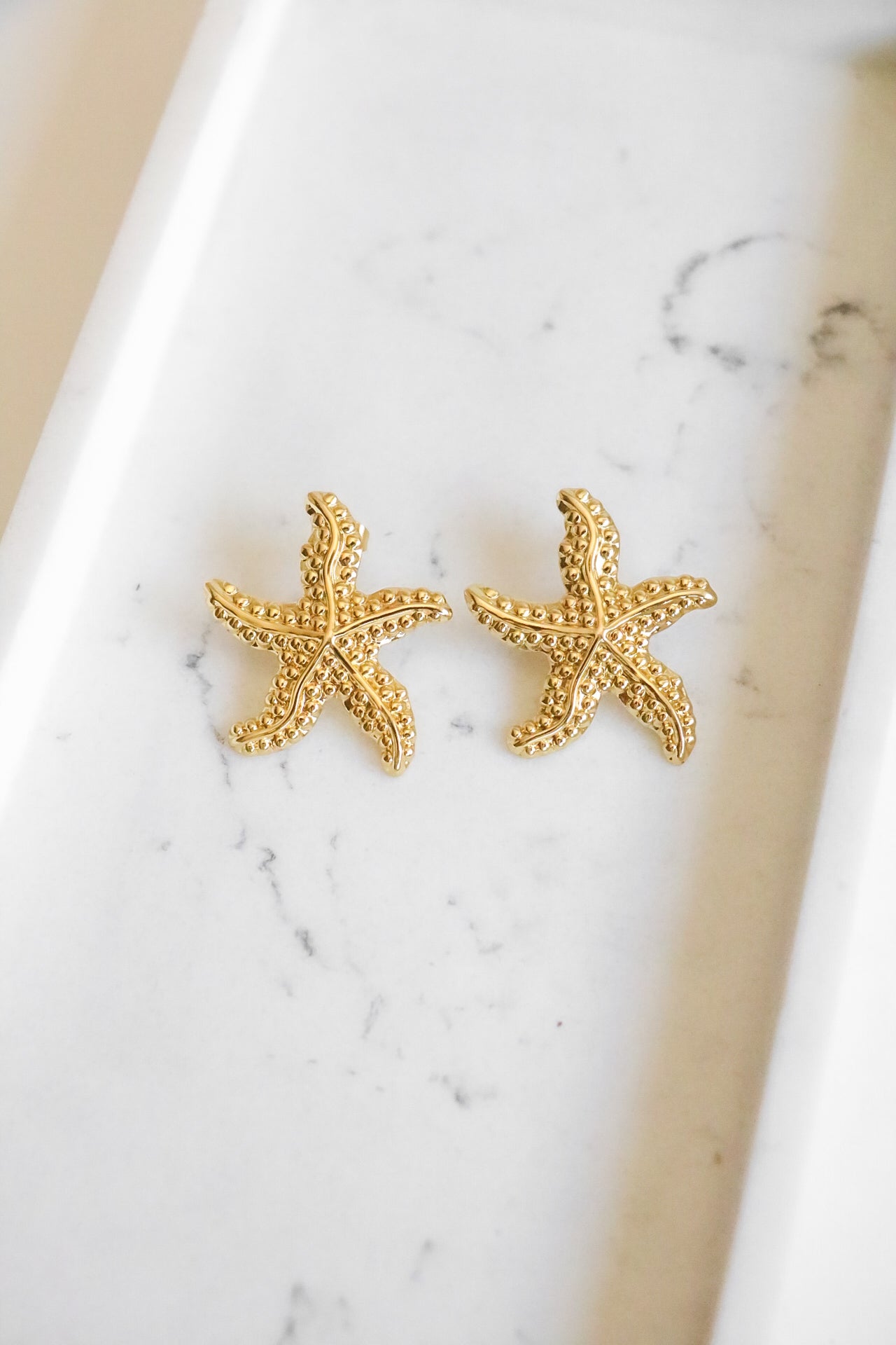 BRINCOS STARFISH