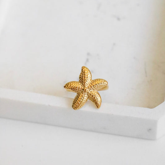 ANEL STARFISH